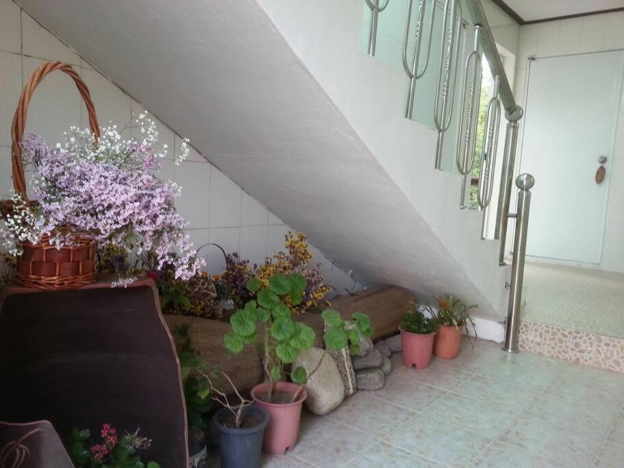 Blue Sky Milky Way Pension Yangyang Exterior photo